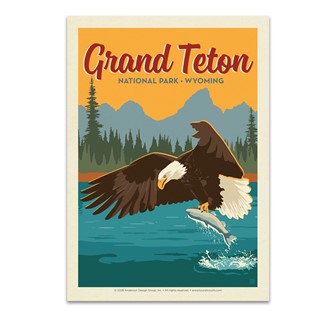 Grand Teton NP Eagle & Salmon Postcard