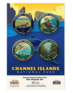 Channel Islands NP Mini Matte Magnet Set