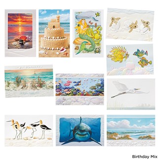 Premium Embossed Coastal Assortment - Box of 21