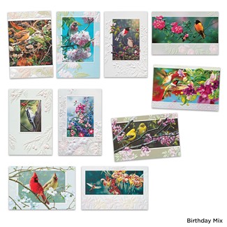 Premium Embossed Bird Lover Assortment- Box of 21