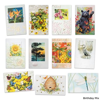Premium Embossed Best nature Card Assortment- Box of 21