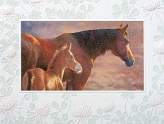 New Dawn Blank Note Cards - 18 Count