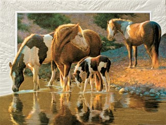 Night Cap Blank Note Cards- 18 Count