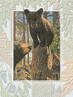 Bear Cub Blank Note Cards - 18 Count
