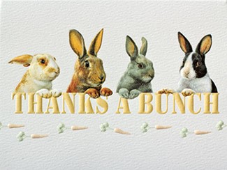 Thanks A Bunch Blank Note Cards - 18 Count