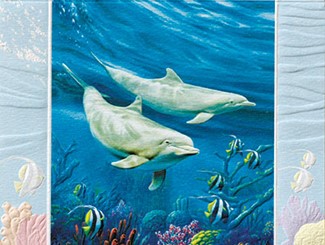 Dolphin Duo Blank Note Cards - 18 Count