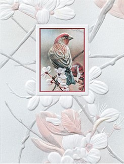 Pretty Perch Blank Note Cards - 18 Count