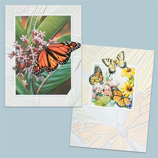Butterflies Blank Note Cards - 18 Count