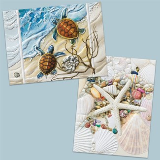 Turtles & Shells Blank Note Cards - 18 Count