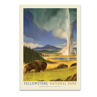 Yellowstone NP Wonderland Postcard