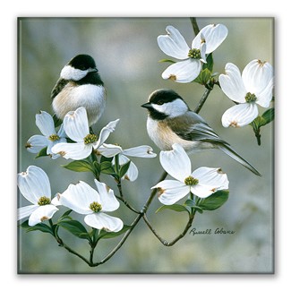 Spring Chickadees Square Magnet