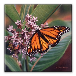 Monarch Butterfly Square Magnet