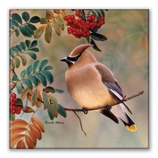 Cedar Waxwing Square Magnet