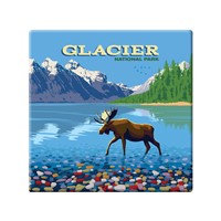 Glacier National Park Moose Square Magnet