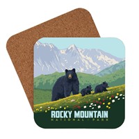 Rocky Mountain NP Black Bears Coaster