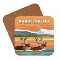 Kobuk Valley National Park Coaster