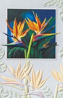 Birds of Paradise (BK) Folded - W/Env