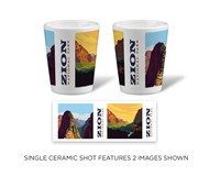 Zion NP 100 Ceramic Shot