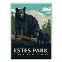 Estes Park CO Black Bear Magnet