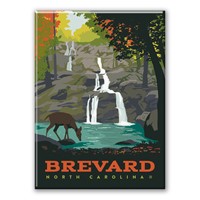 Brevard NC Waterfall Magnet