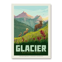 Glacier NP Bighorn Sheep Vert Sticker