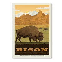 NP Wildlife Bison Vert Sticker
