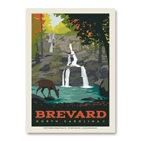 Brevard, NC Deer Waterfall Vert Sticker