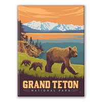Grand Teton Bears Magnet
