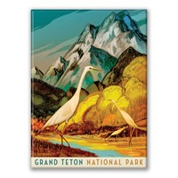 Grand Teton NP Autumn Glory Magnet