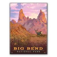 Big Bend NP Mule Deer Magnet
