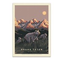 Grand Teton NP Cub Scouts Postcard