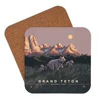 Grand Teton NP Cub Scouts Coaster