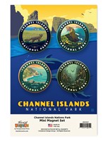 Channel Islands NP Mini Matte Magnet Set