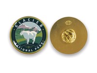 Glacier NP Circle Pin